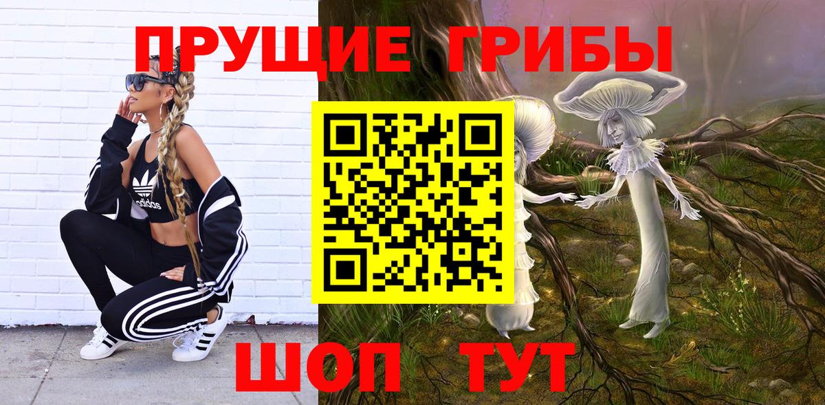 Галлюциногенные грибы Cubensis Новошахтинск