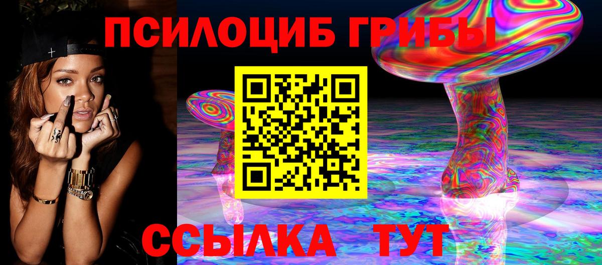 Псилоцибиновые грибы Cubensis  Вход с VPN  цены   Новошахтинск 