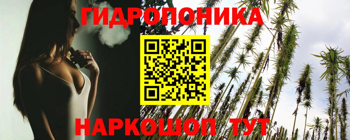 Каннабис MAZAR  Бошки марихуана гибрид  Бошки марихуана VHQ  Новошахтинск  Бошки Шишки White Widow  Вход с VPN 